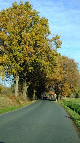 Herbst in Hattrop 2018